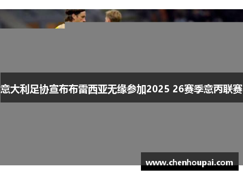 意大利足协宣布布雷西亚无缘参加2025 26赛季意丙联赛 意大利足协宣布布雷西亚无缘参加2025 26赛季意丙联赛